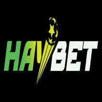 haybetitcom's avatar