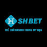 shbetchannel's avatar