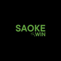 Saoketvblog's avatar