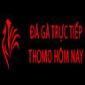 Đá Gà Trực Tiếp Thom's avatar