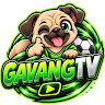 gavangtvnews's avatar