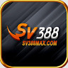 sv388maxcom's avatar