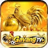 Sân Chơi GAVANGTV's avatar