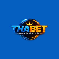 thabetcasino's avatar
