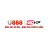 U888 Foundation's avatar