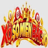 Xổ Số Miền Bắc's avatar
