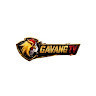 gavangtvad's avatar