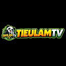 tieulamtvwork's avatar