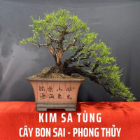 kimsatungwebsite's avatar