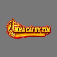 Nhacaiuytinseucom's avatar
