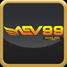 aev99bid's avatar