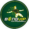 BongVIP's avatar