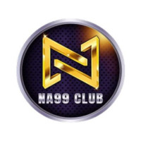 na99site's avatar