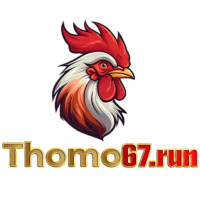 thomo67run's avatar