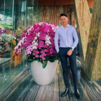 ceodanghaiau's avatar