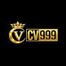 playcv999's avatar