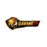 gavangtvicu's avatar