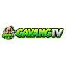gavangtvltd's avatar