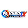 vebotvla's avatar