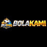 bolakamitop's avatar