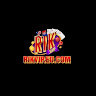 rikviparmy's avatar
