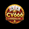 cv666playnet's avatar