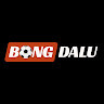 bongdalusx's avatar