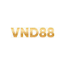 VND88's avatar