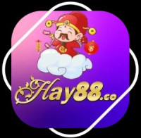 hay88vnco's avatar