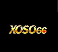 xoso666website's avatar