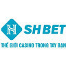 shbet123top's avatar