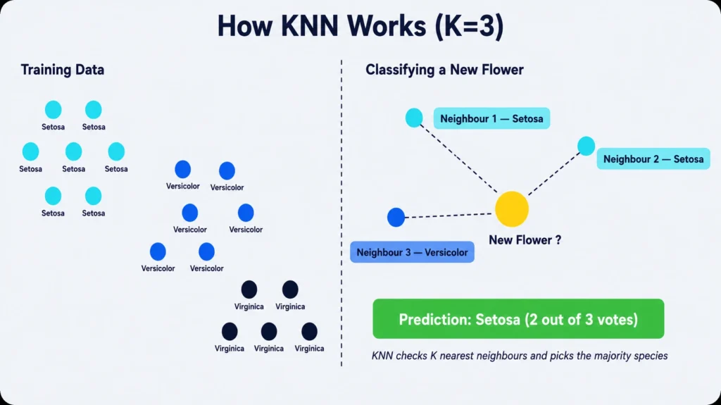 KNN K nearest neighbors algorithm visual explanation — python programming class 11 AI CBSE sklearn