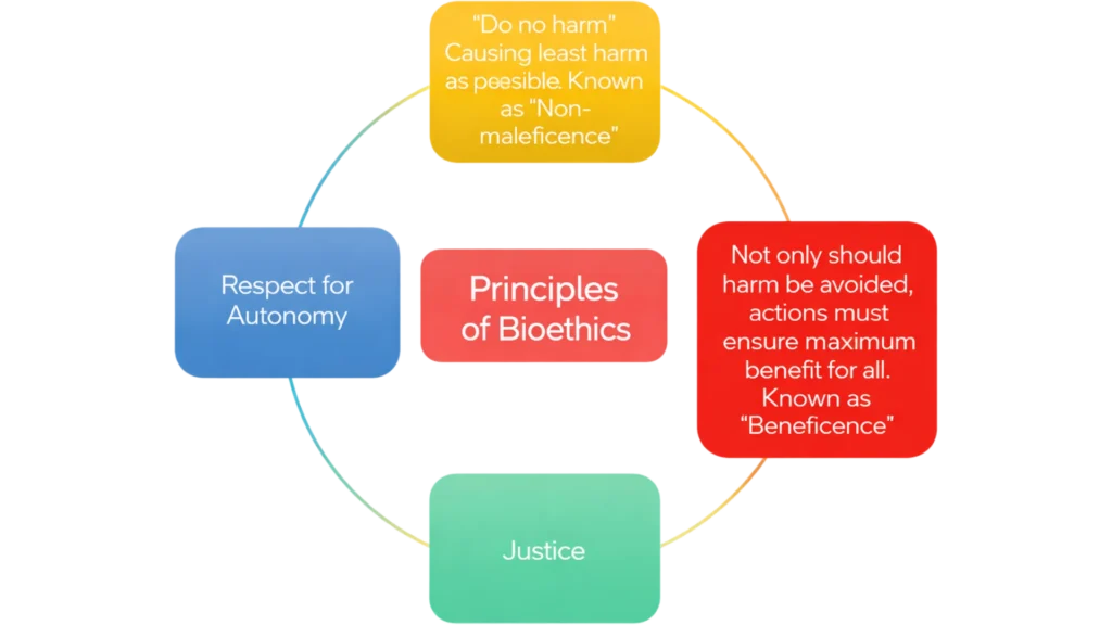 Principles of Bioethics, Domains of AI